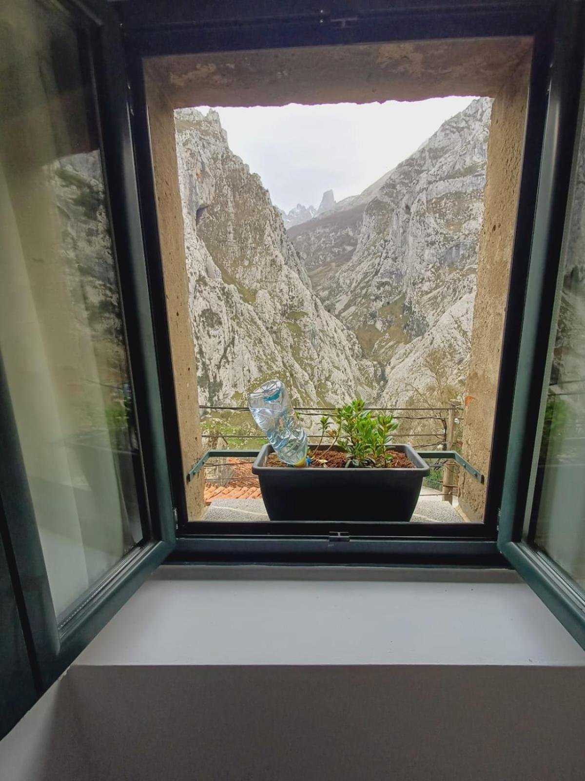 El Portal Del Abuelo Daire Arenas De Cabrales Dış mekan fotoğraf